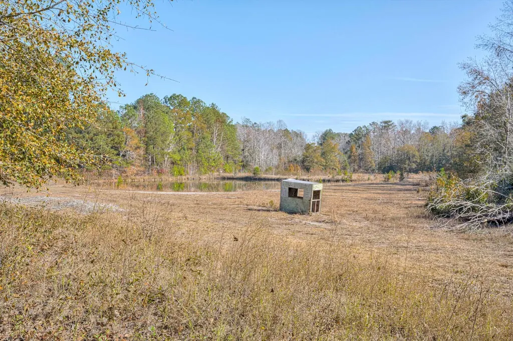 5974 Deans Bridge Road Blythe GA 30805