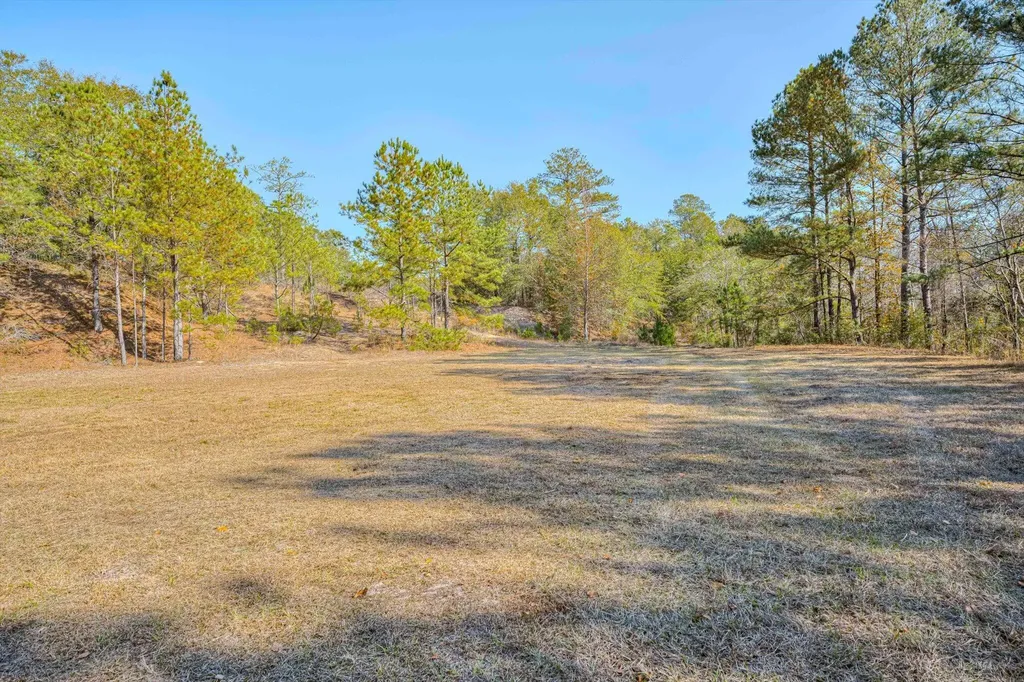 5974 Deans Bridge Road Blythe GA 30805