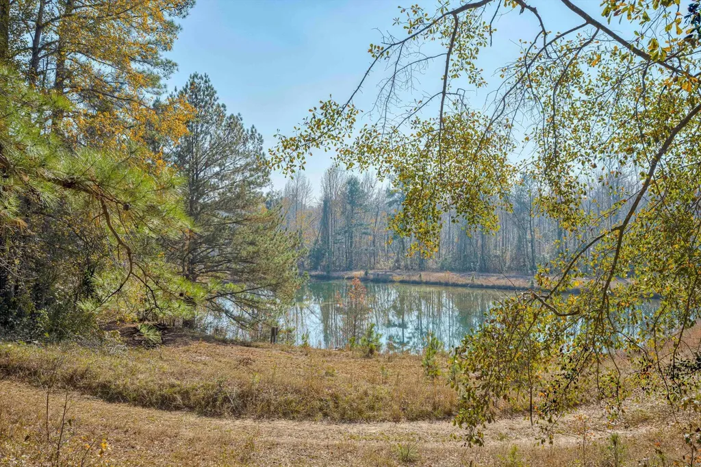 5974 Deans Bridge Road Blythe GA 30805