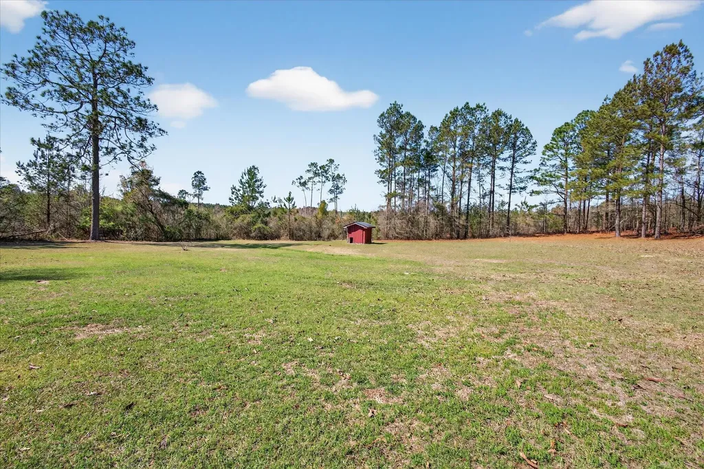 395 Winchester Road Sylvania GA 30467