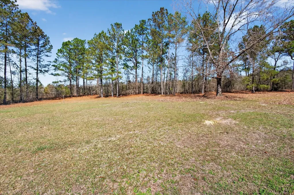 395 Winchester Road Sylvania GA 30467