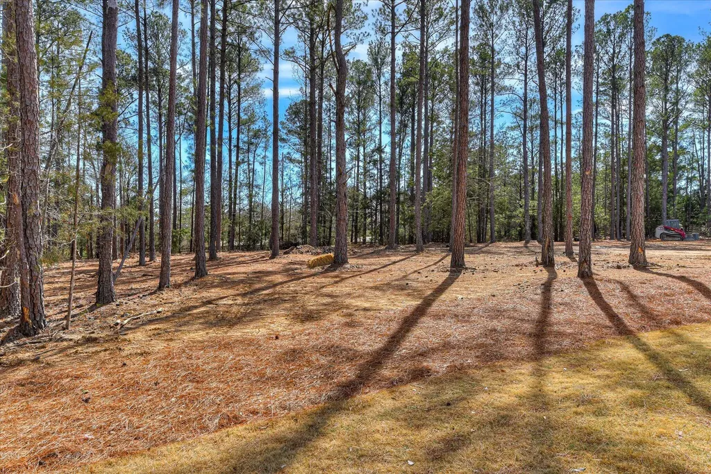 1006 Sadie Lincolnton GA 30817