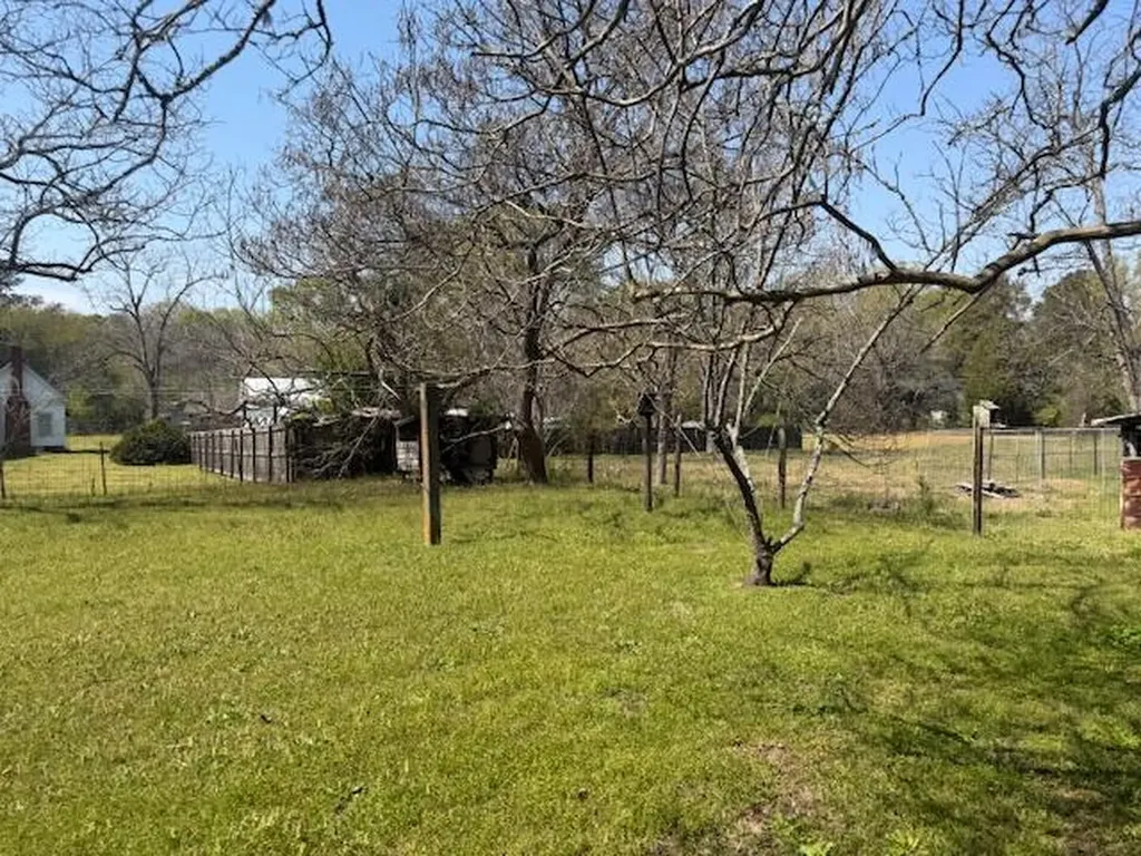 227 N Whitehead Street Warrenton GA 30828