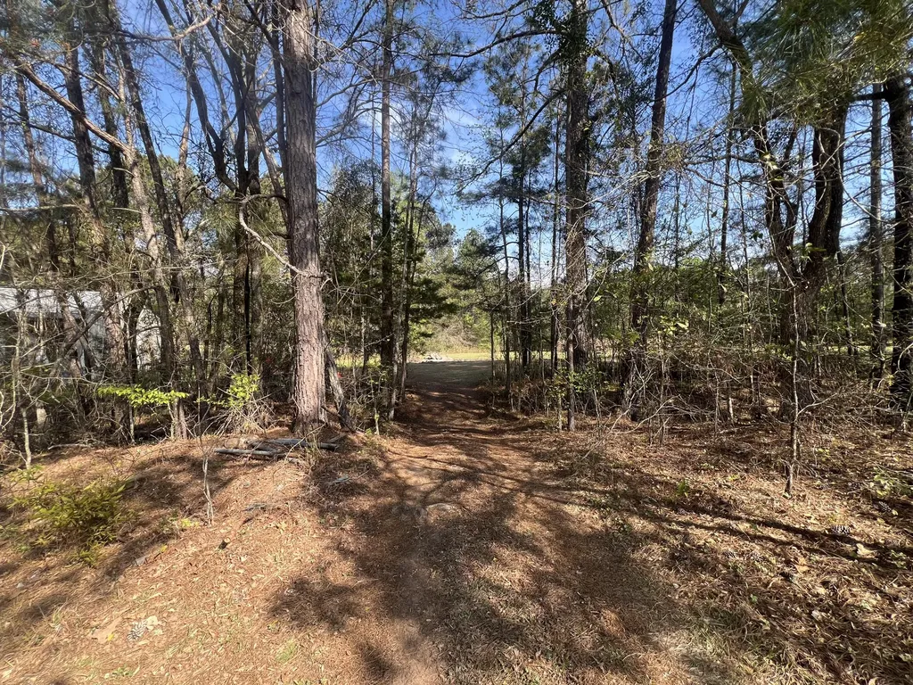 3329 NE Lincolnton Road Thomson GA 30824