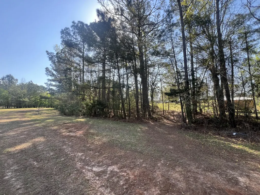 3329 NE Lincolnton Road Thomson GA 30824