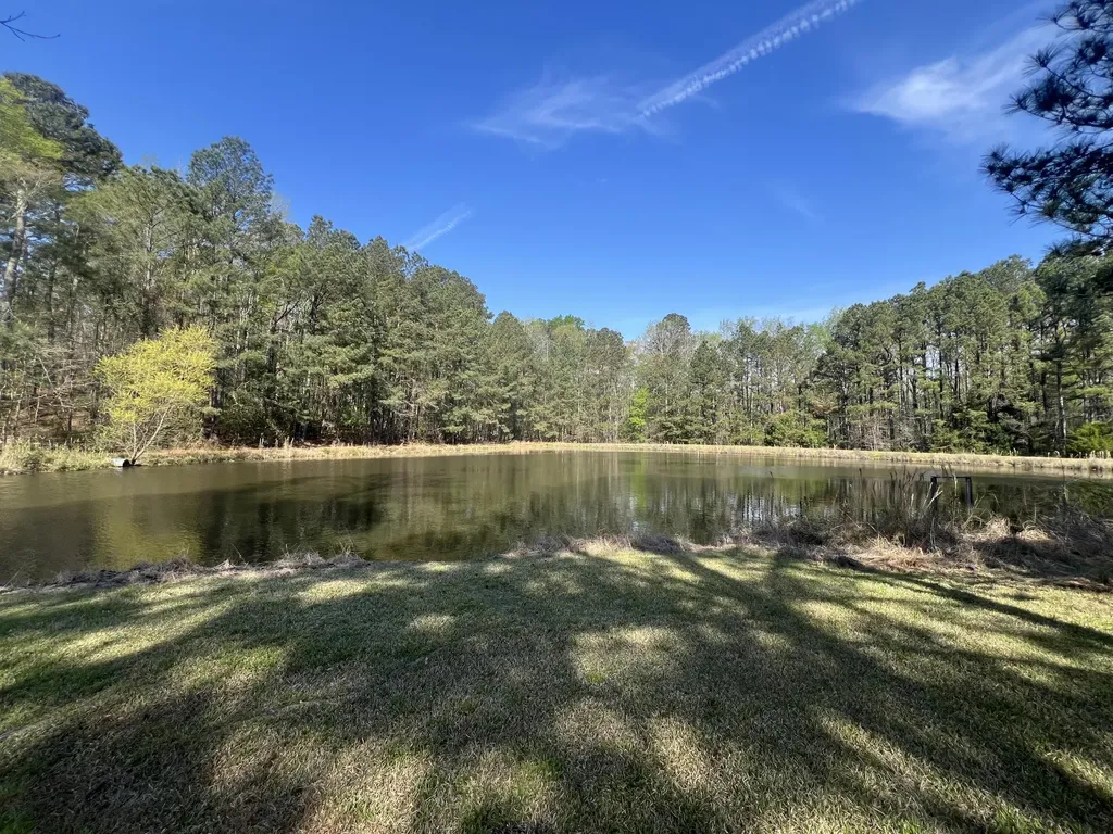 3329 NE Lincolnton Road Thomson GA 30824