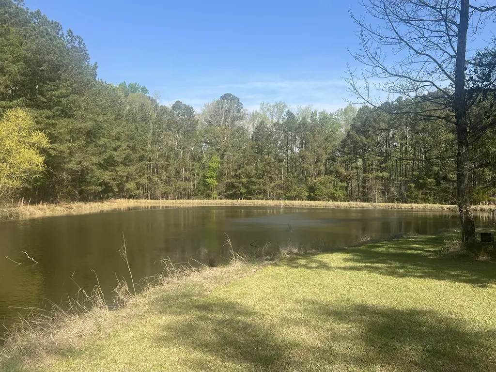 3329 NE Lincolnton Road Thomson GA 30824