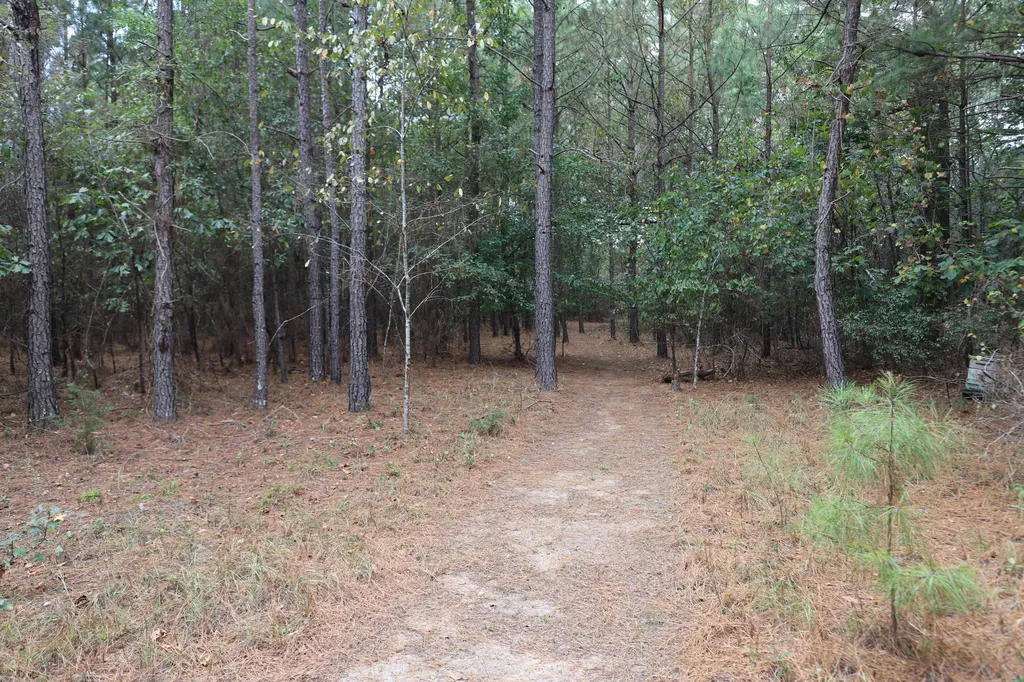 5631 Old Augusta Highway Grovetown GA 30813