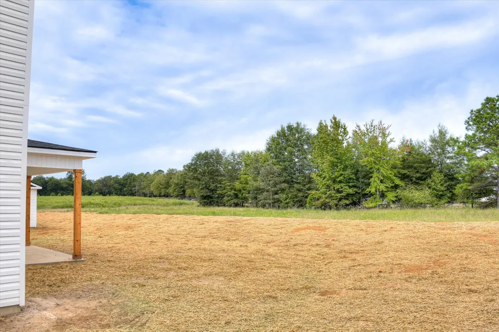319 Terrace Hill Road Wrens GA 30833