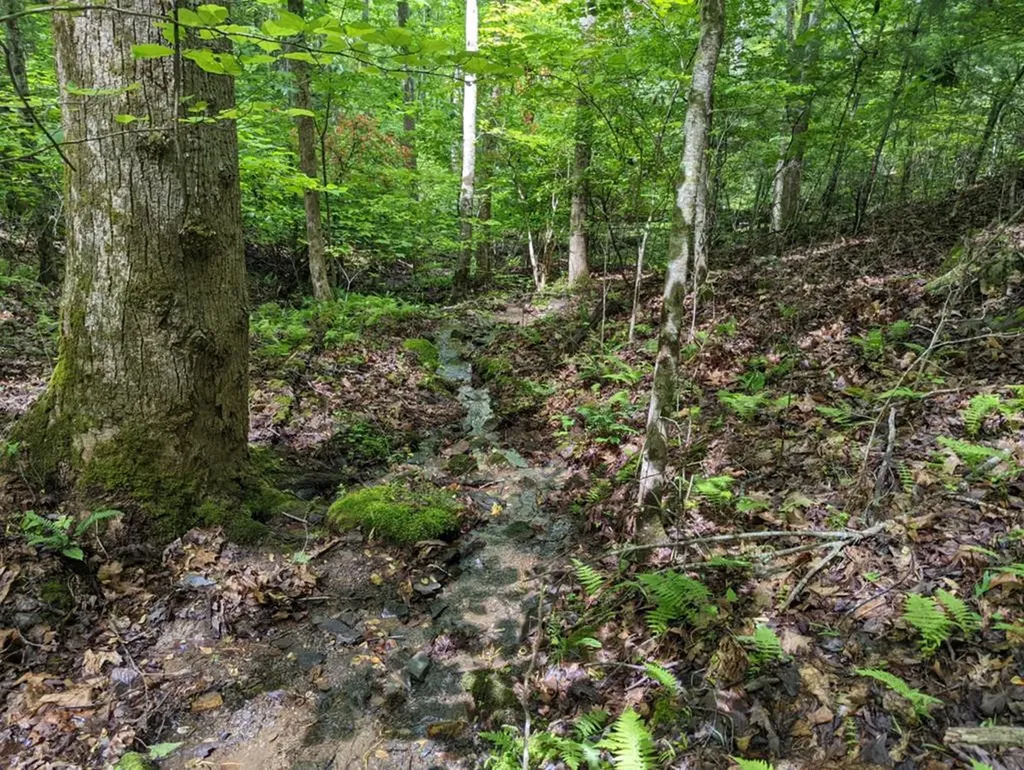 Tbd Heritage Trail Brasstown NC 28902