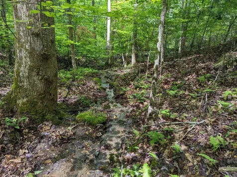 Tbd Heritage Trail Brasstown NC 28902
