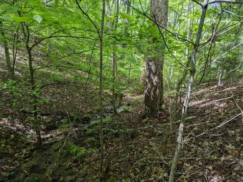 Tbd Heritage Trail Brasstown NC 28902
