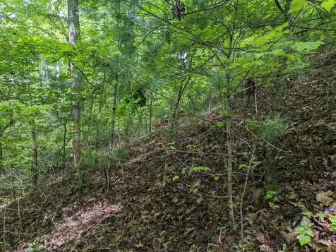 Tbd Heritage Trail Brasstown NC 28902
