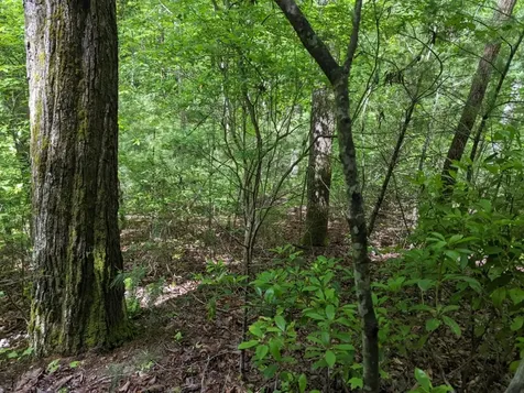 Tbd Heritage Trail Brasstown NC 28902