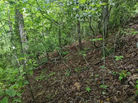 Tbd Heritage Trail Brasstown NC 28902
