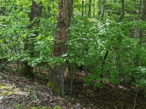 Tbd Heritage Trail Brasstown NC 28902