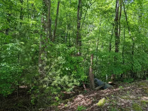 Tbd Heritage Trail Brasstown NC 28902