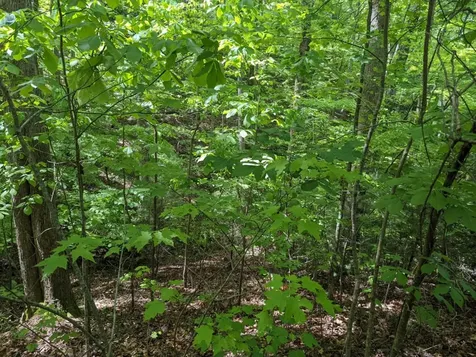 Tbd Heritage Trail Brasstown NC 28902