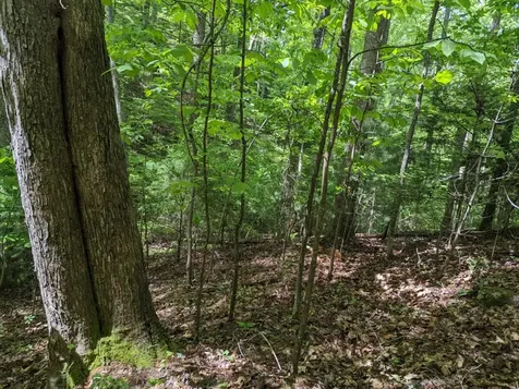 Tbd Heritage Trail Brasstown NC 28902
