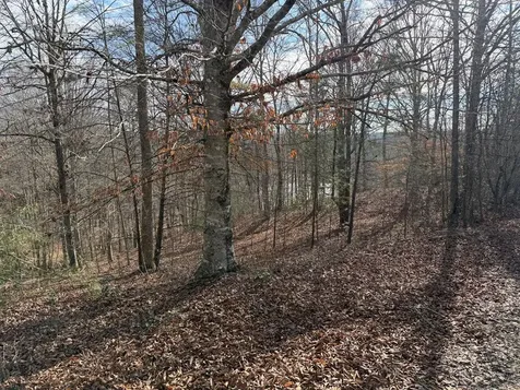 4, 5 &6 Mountain Wood Drive Murphy NC 28906