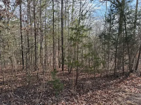 4, 5 &6 Mountain Wood Drive Murphy NC 28906