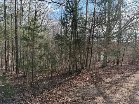 4, 5 &6 Mountain Wood Drive Murphy NC 28906