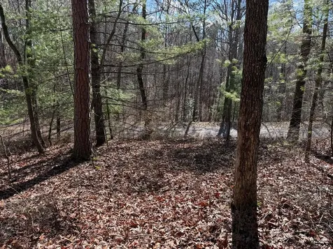 4, 5 &6 Mountain Wood Drive Murphy NC 28906