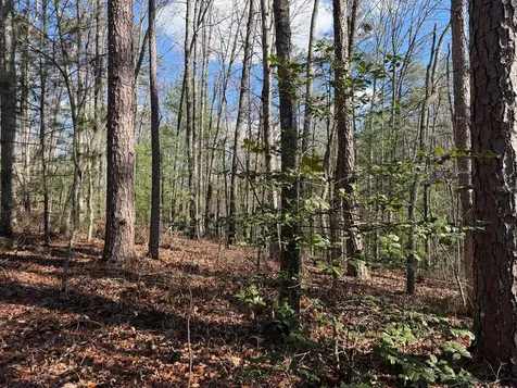 4, 5 &6 Mountain Wood Drive Murphy NC 28906