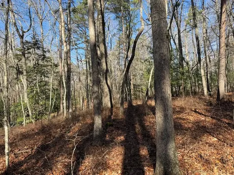 4, 5 &6 Mountain Wood Drive Murphy NC 28906