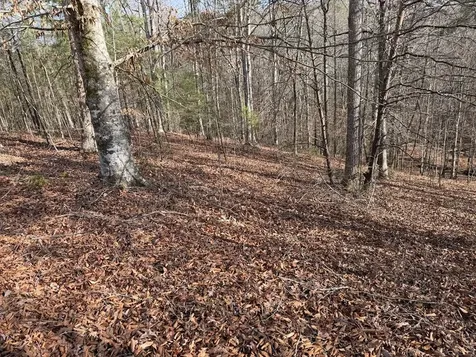 4, 5 &6 Mountain Wood Drive Murphy NC 28906