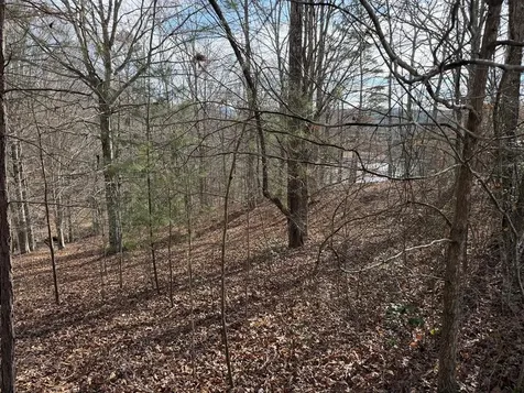 4, 5 &6 Mountain Wood Drive Murphy NC 28906