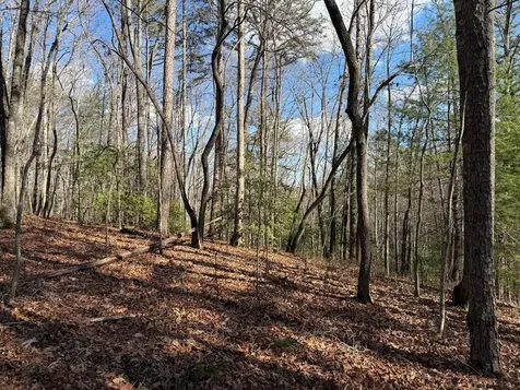 4, 5 &6 Mountain Wood Drive Murphy NC 28906
