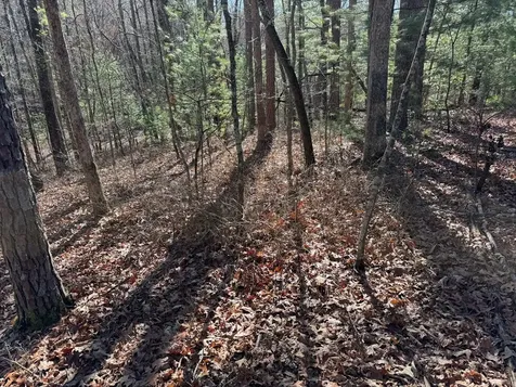 4, 5 &6 Mountain Wood Drive Murphy NC 28906
