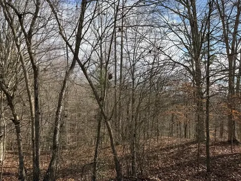 4, 5 &6 Mountain Wood Drive Murphy NC 28906