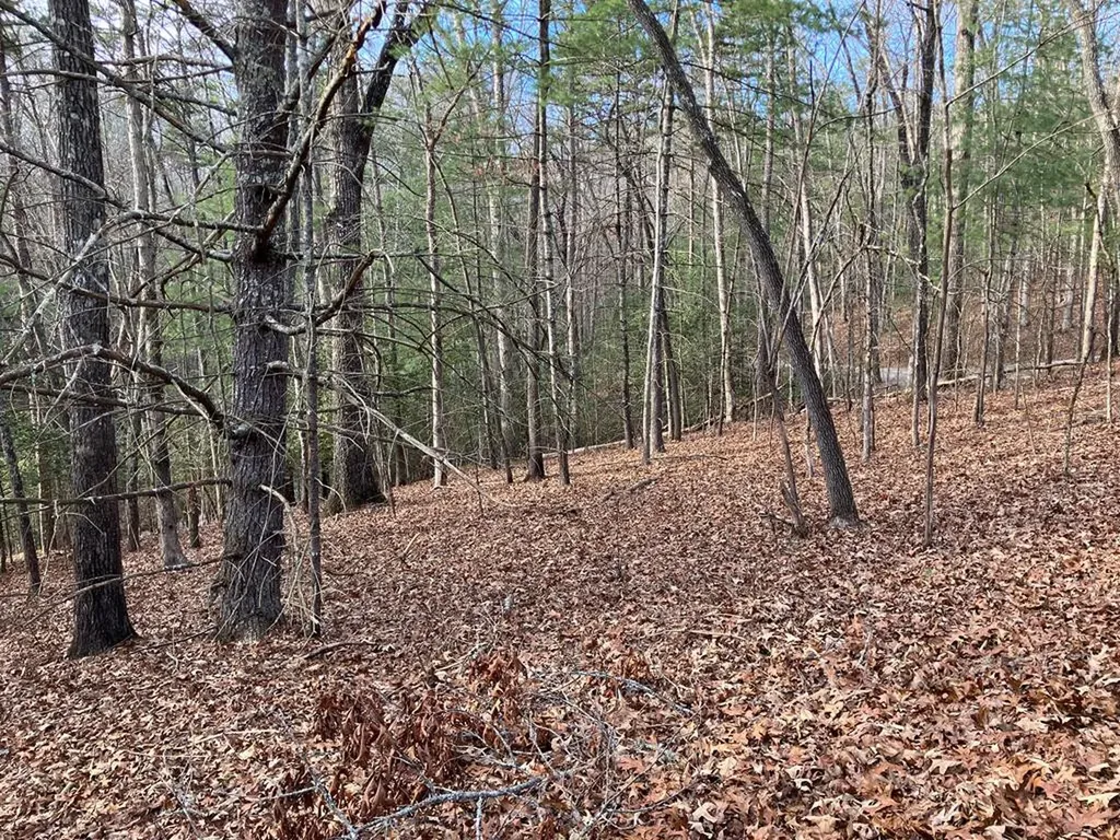 Lot 26a Amandas Way Murphy NC 28906