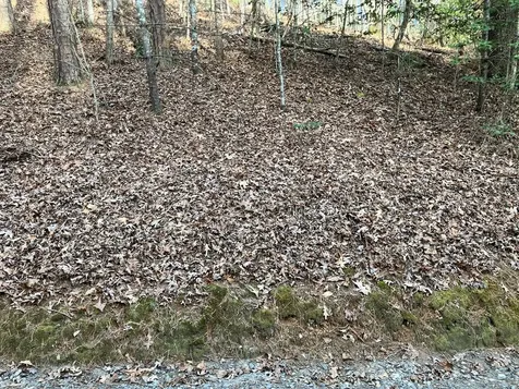 Lot 26a Amandas Way Murphy NC 28906