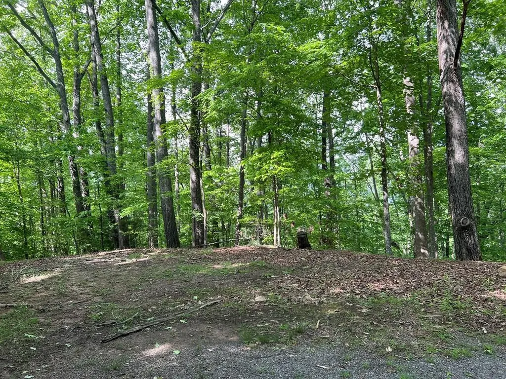 Lot 26 Longview Ridge Hayesville NC 28904