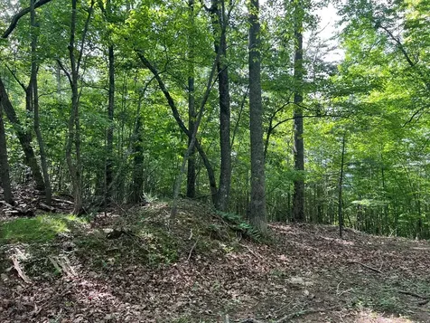 Lot 26 Longview Ridge Hayesville NC 28904