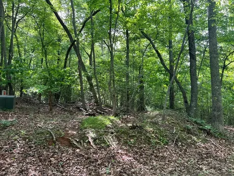 Lot 26 Longview Ridge Hayesville NC 28904
