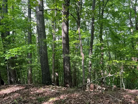 Lot 26 Longview Ridge Hayesville NC 28904