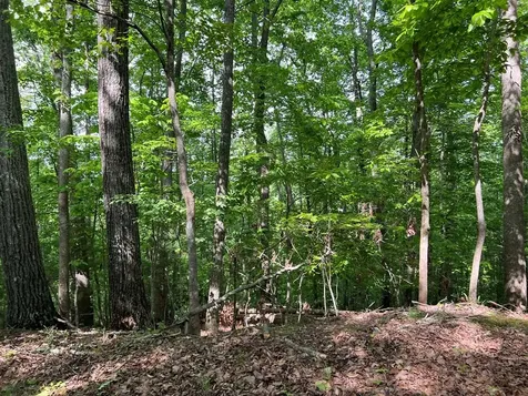 Lot 26 Longview Ridge Hayesville NC 28904