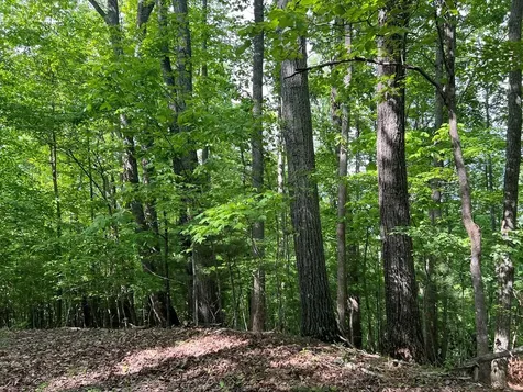 Lot 26 Longview Ridge Hayesville NC 28904