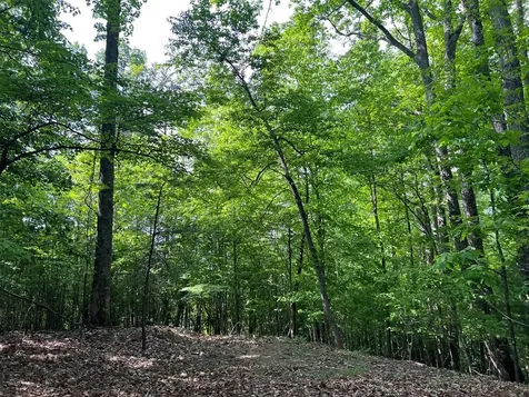 Lot 26 Longview Ridge Hayesville NC 28904