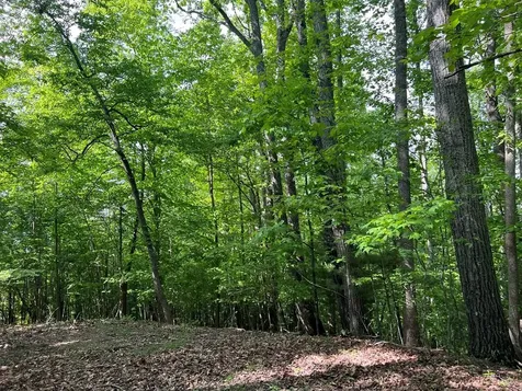 Lot 26 Longview Ridge Hayesville NC 28904
