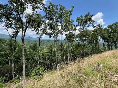 Lot 183 Skyline View Drive Murphy NC 28906
