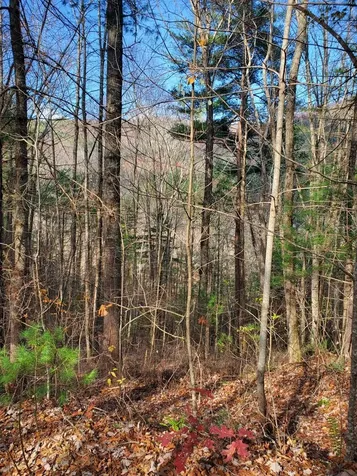 6-3 Katerina Lane Murphy NC 28906