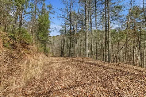 115 Crowe Mountain Lane Murphy NC 28906