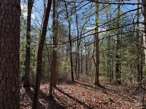 Lot #20 Yellow Maple Drive Murphy NC 28906