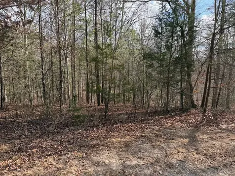 Lot #20 Yellow Maple Drive Murphy NC 28906