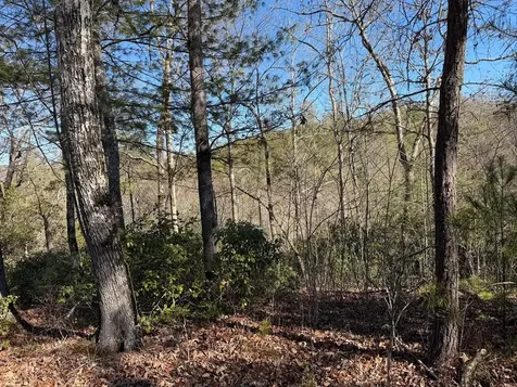 Lot #20 Yellow Maple Drive Murphy NC 28906